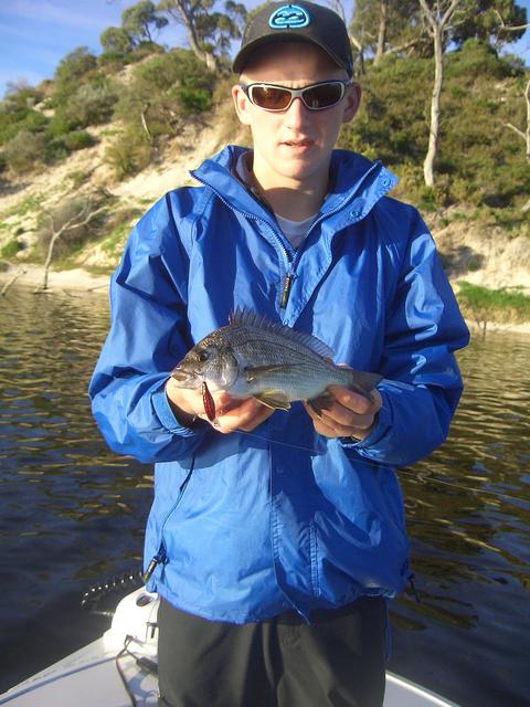 Another bream from the Moore